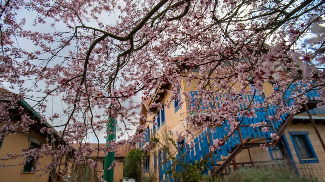 Albergue De Peregrinos Casa Flor Murias de Rechivaldo Eksteriør billede